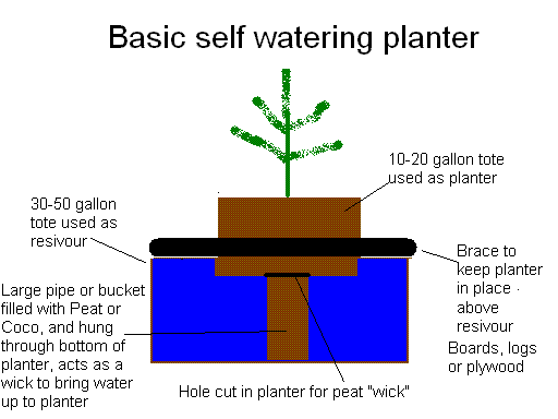 7710Basic_self-watering_planter.GIF