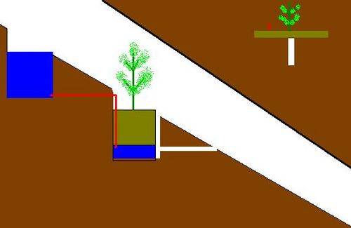 7710drainage_ditch_for_earthbox-med.JPG