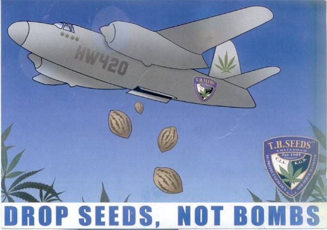 8344drop_seeds_not_bombs.jpg