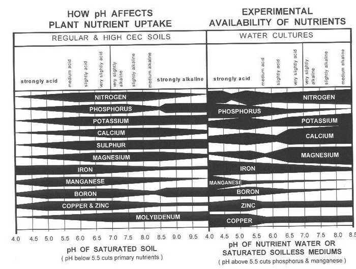 Nutrient-Uptake-and-pH.jpg