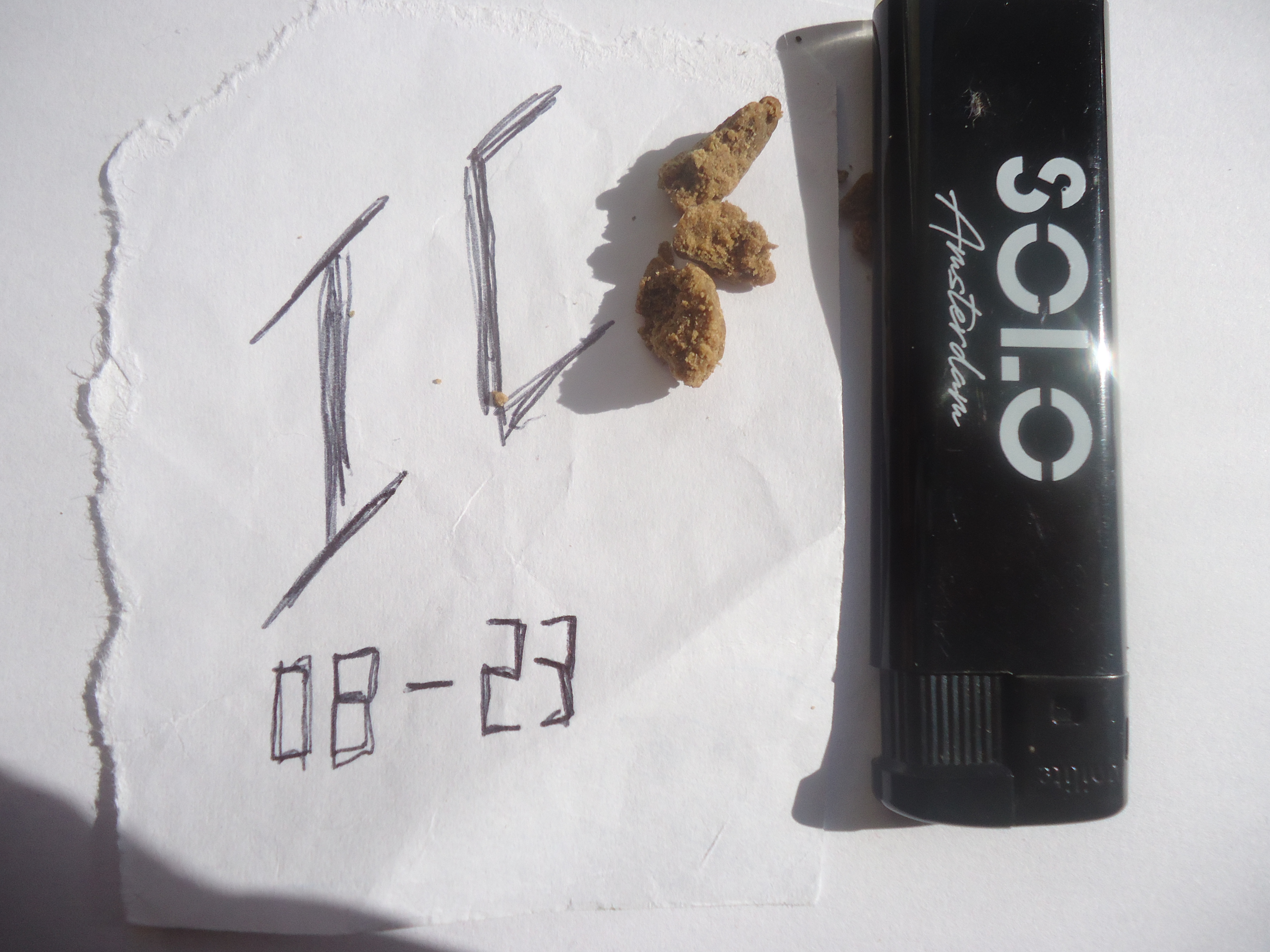 1 High Grade With Foreign Genetics Supposedly From Morocco From Coffeeshops, August, 2023.JPG