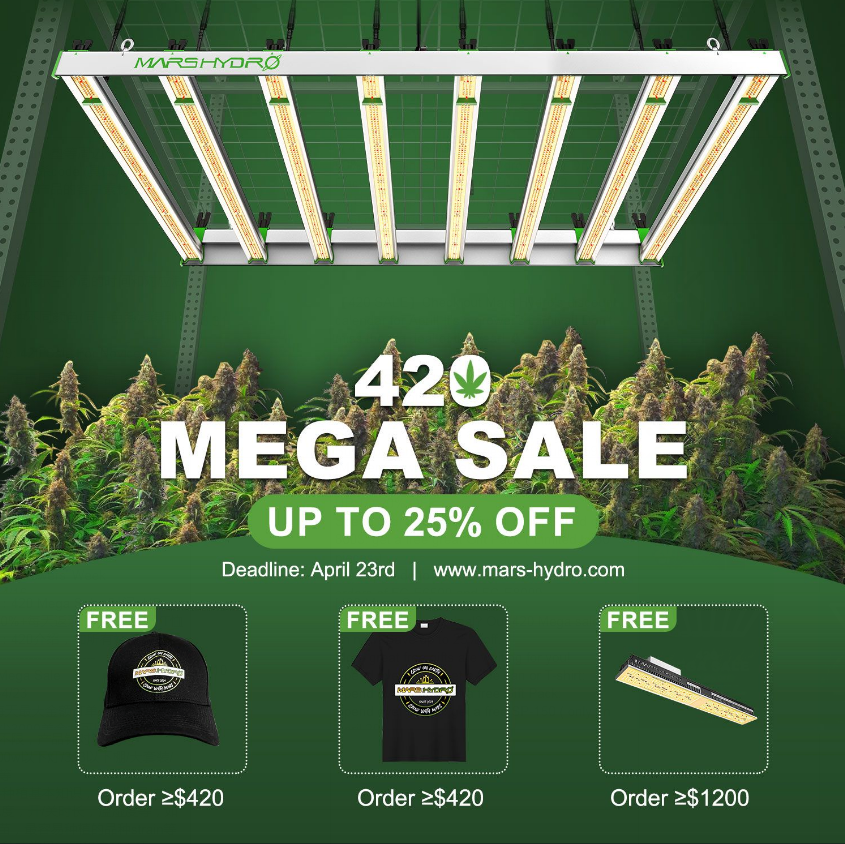 420 sale.png