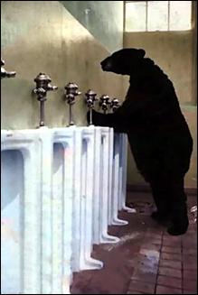 bear piss woods.jpg