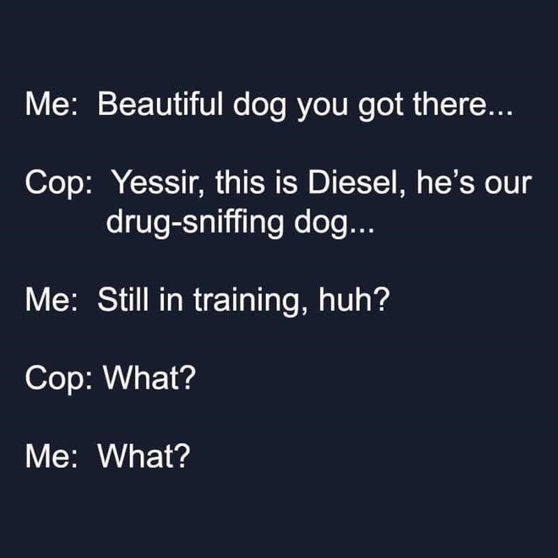 beautiful-dog-got-there-cop-yessir-this-is-diesel-hes-our-drug-sniffing-dog-still-training-hu...jpeg