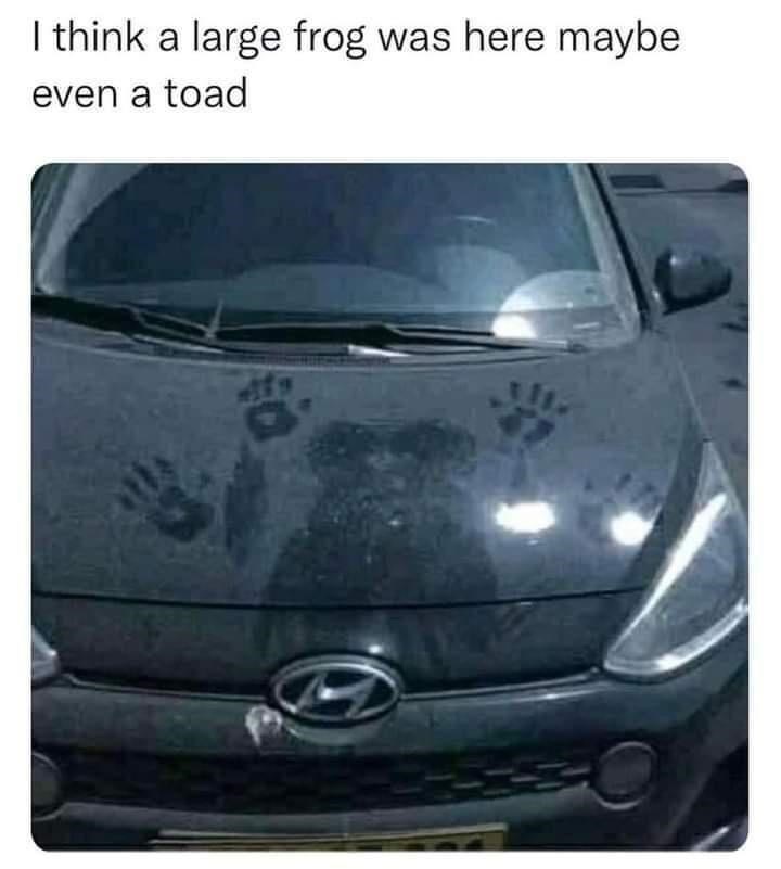 car-think-large-frog-here-maybe-even-toad.jpeg
