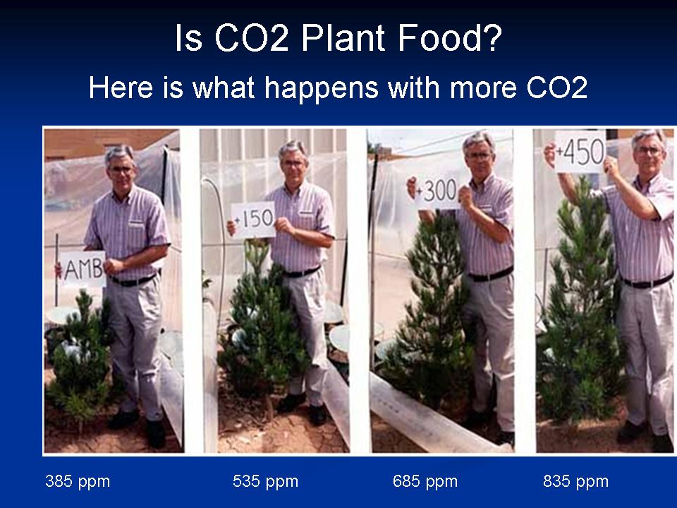 co2 is good for the environment.jpeg