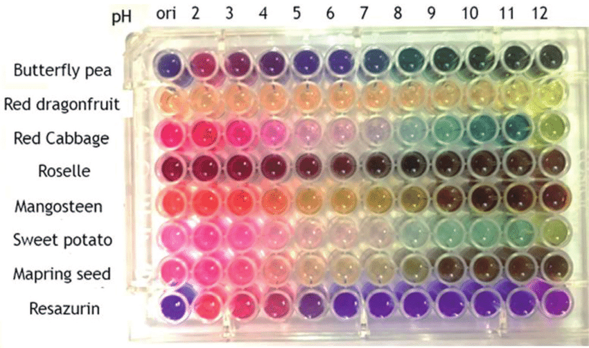 Color-chart-of-anthocyanins-extracted-from-different-sources-of-plants-at-different-pH.ppm.png