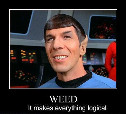 dr-spock-star-trek-weedmemes.jpg