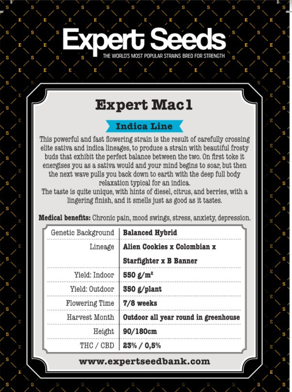 expert-mac.jpg