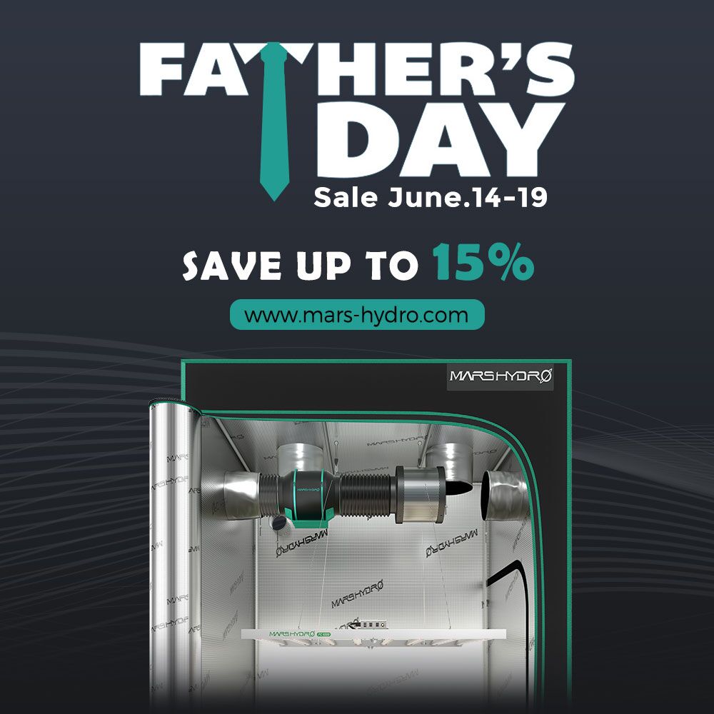 Father's day sale.jpg