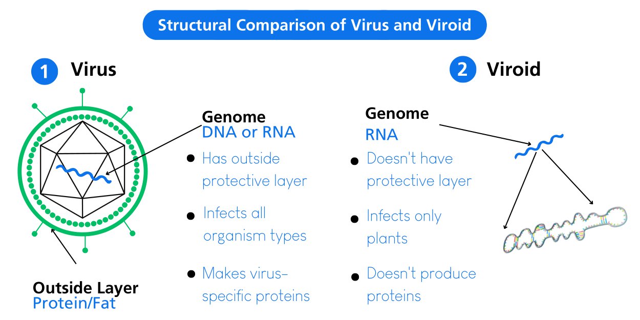 Fig.1-Virus-vs-Viroid.jpg