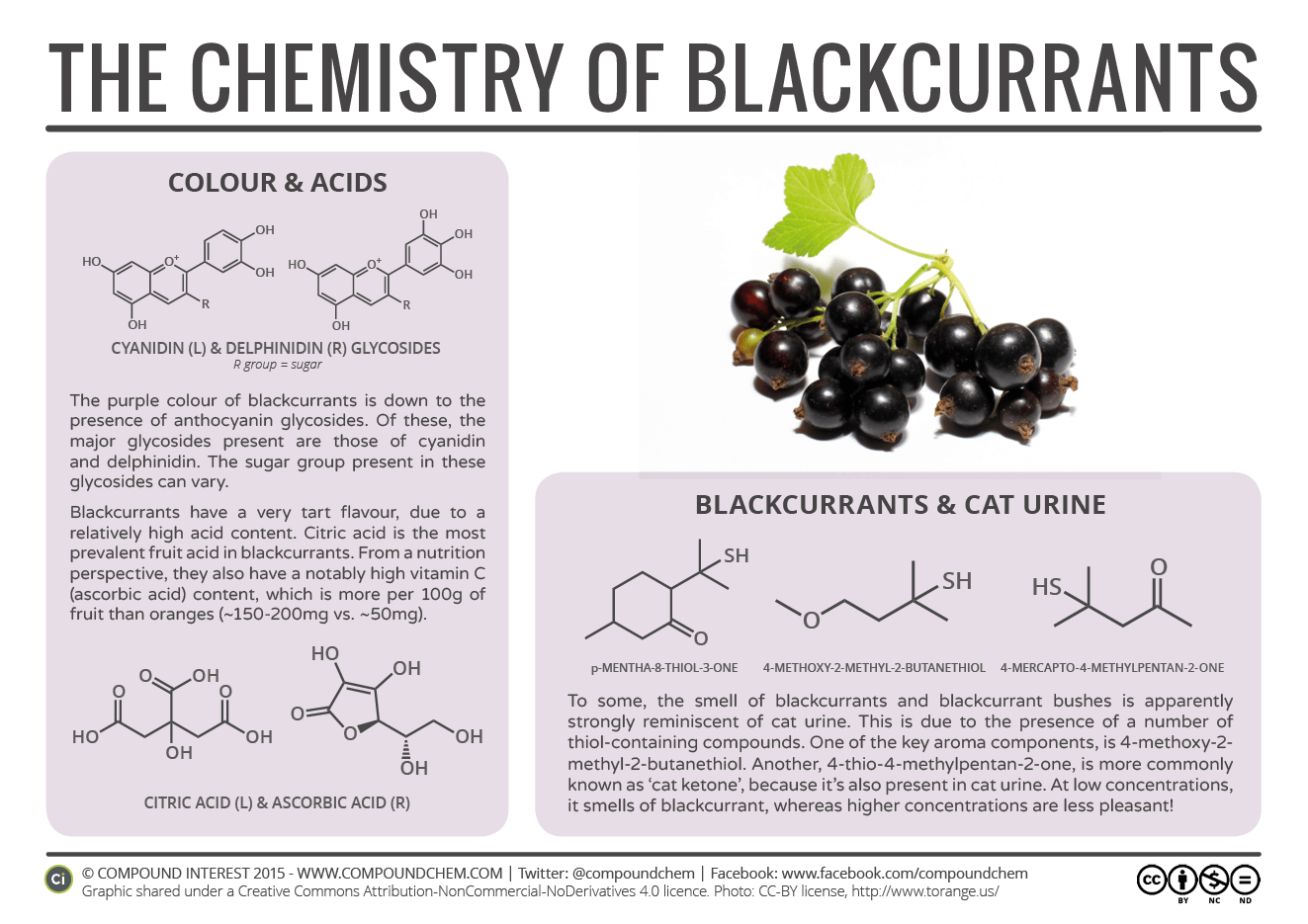 Food-Chemistry-–-The-Chemistry-of-Blackcurrants.png