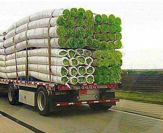 funny-picture-of-truck-carrying-massive-logs-of-grass-that-look-like-huge-joints.jpeg