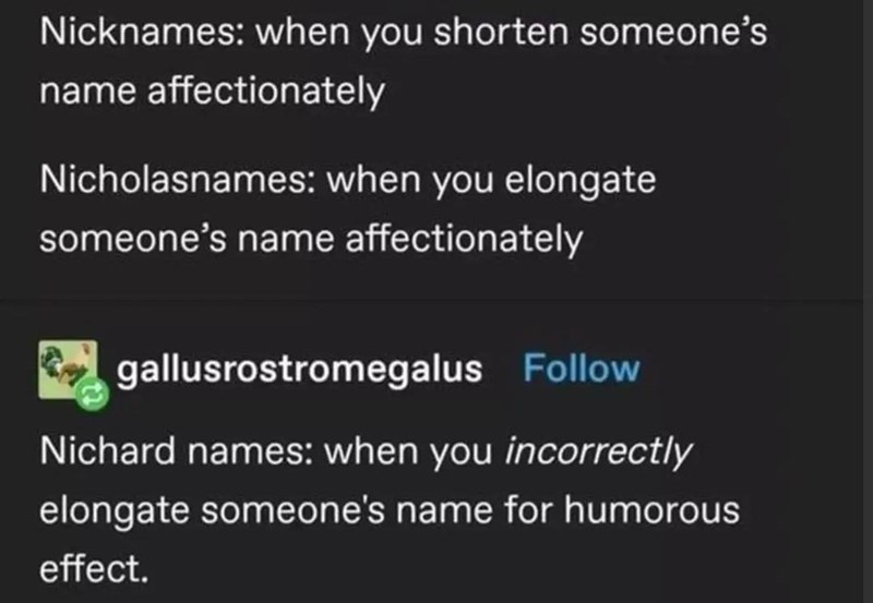 gallusrostromegalus-follow-nichard-names-incorrectly-elongate-someones-name-humorous-effect.jpeg