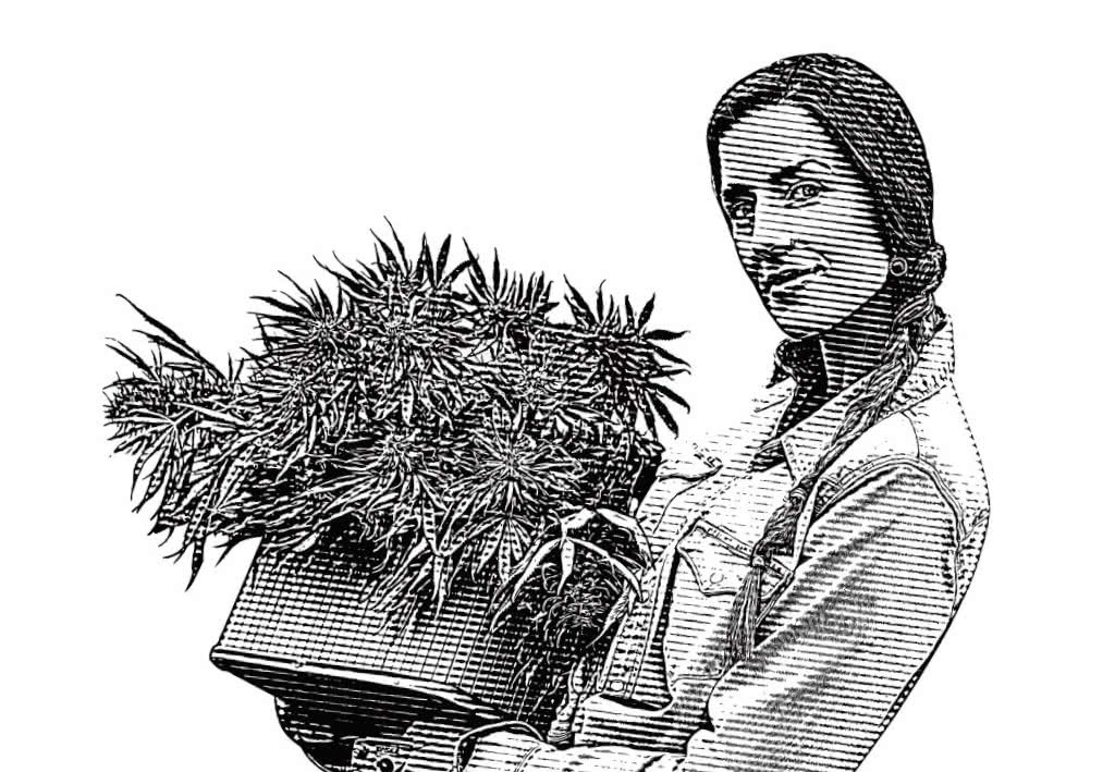 grassfarmer-grow-marijuana-home.jpg