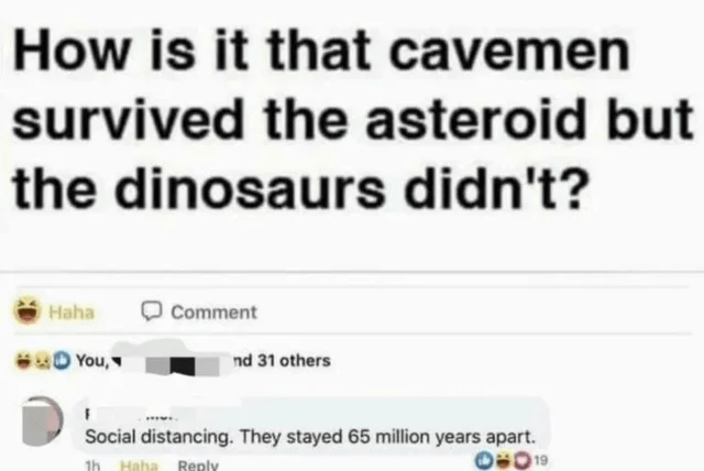 haha-comment-nd-31-others-f-social-distancing-they-stayed-65-million-years-apart-1h-haha-reply...png
