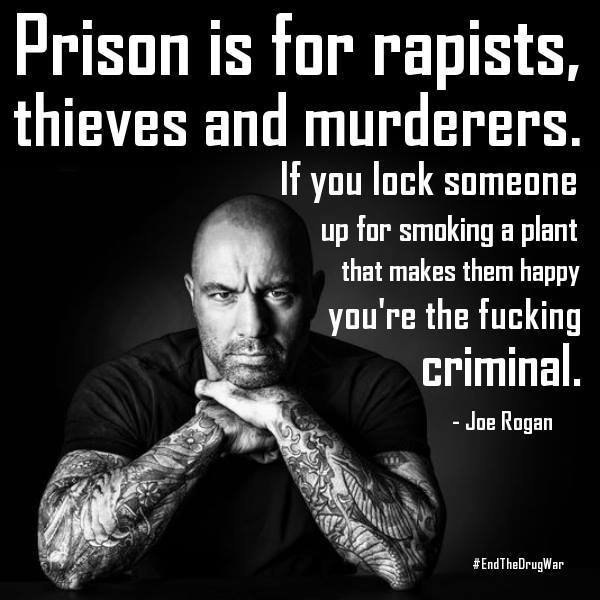 joe-rogan-prison-is-for-rapists-thieves-and-murderers-if-you-lock-someone-up-for-smoking-a-plant.jpg
