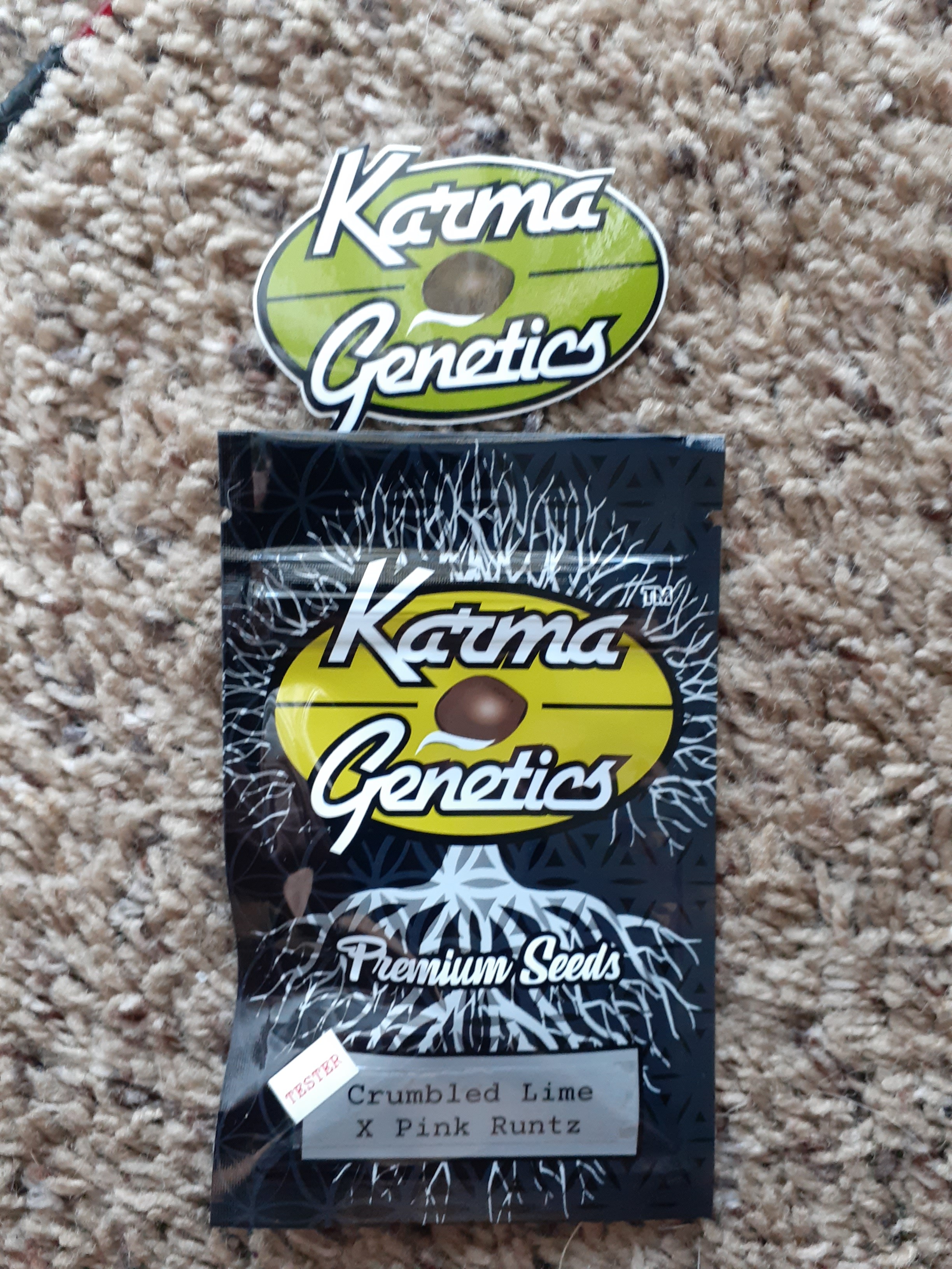 Karma Testers 12 (1) - Copy.jpg