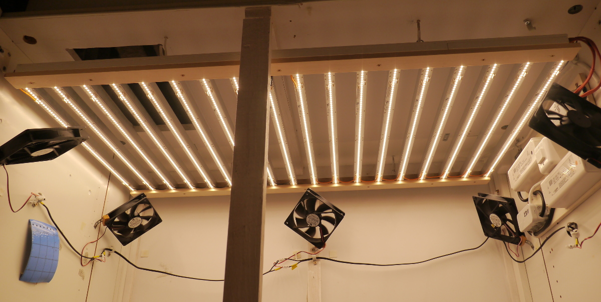 LED-Strips 01 Blüte.JPG