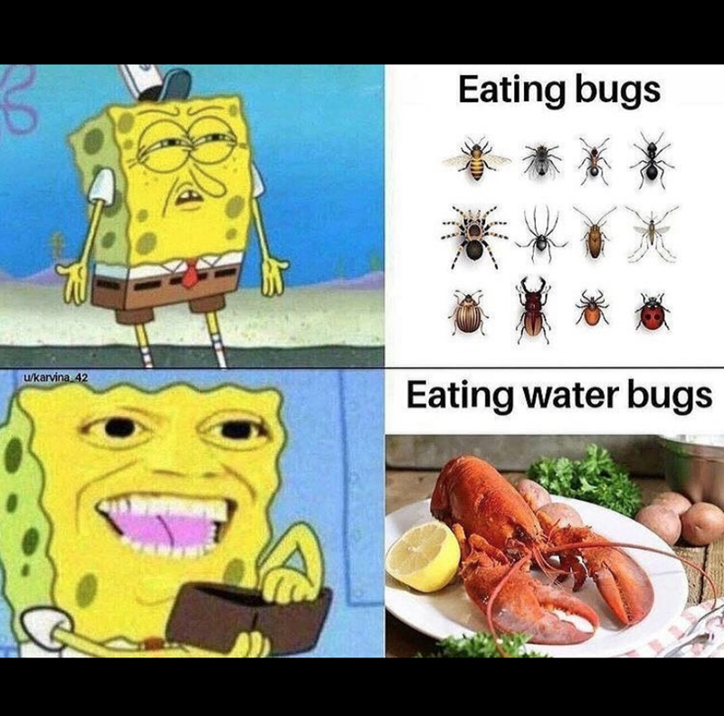lemon-ukarvina-42-eating-bugs-eating-water-bugs.png