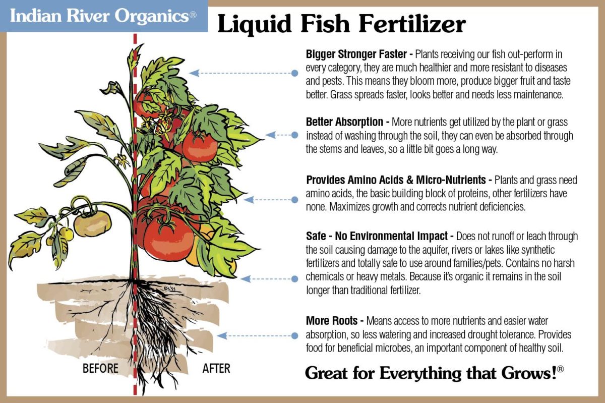 Liquid-Fish-Fertilizer-Marketing-Image-1v3-1200x799.jpg