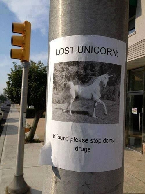 lost unicorn.jpg