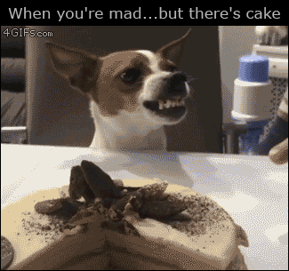 mad but cake.gif