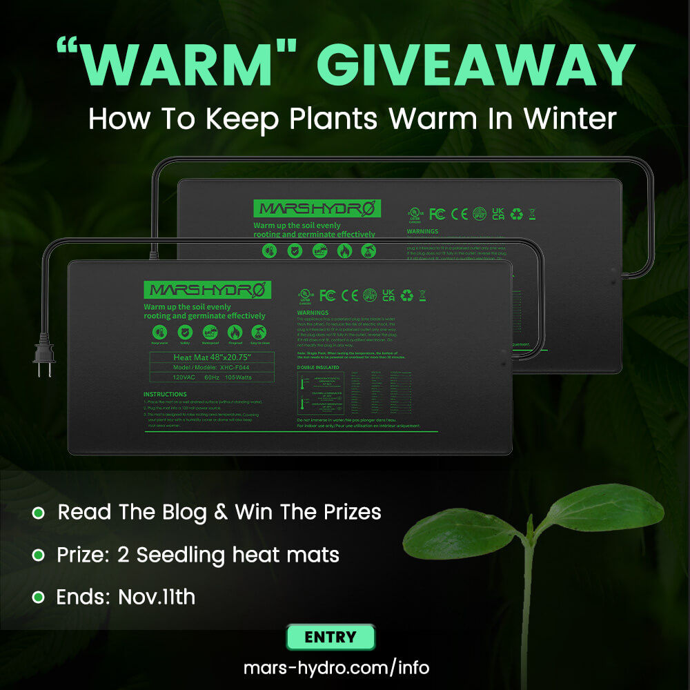 mars-hydro.com giveaway seedling heat mat.jpg