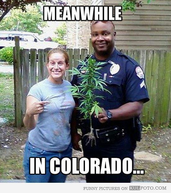 Meanwhile-In-Colorado-Funny-Weed-Picture.jpg
