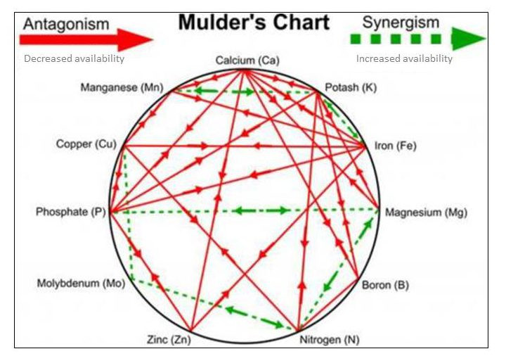 mulders-chart-e1465939603653-jpg.651547.jpg