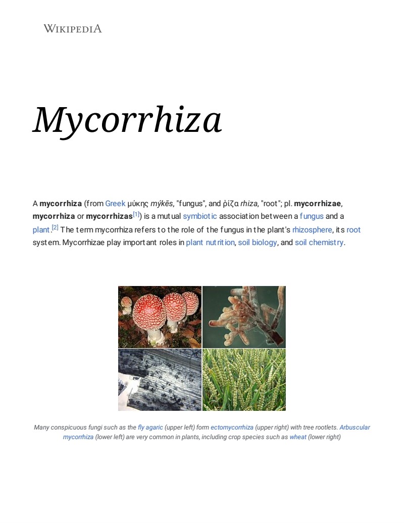 Mycorrhiza - Wikipedia_220415_184947_1.jpg
