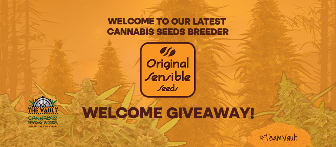 Original Sensible Seeds - New Breeder! - Giveaway.jpg