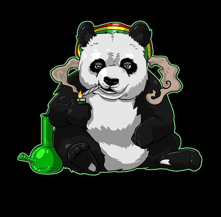 Panda-2.jpg