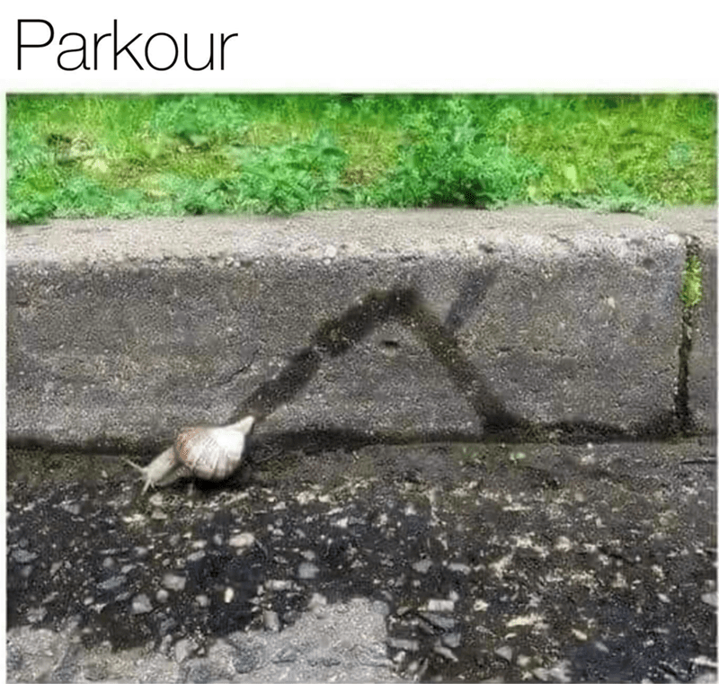 parkour.png