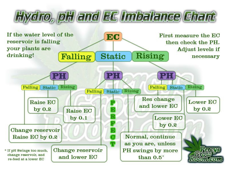 Click image for larger version  Name:	PH-and-EC-fluctuations-in-Hydroponics.jpg Views:	0 Size:	151.2 KB ID:	18023778