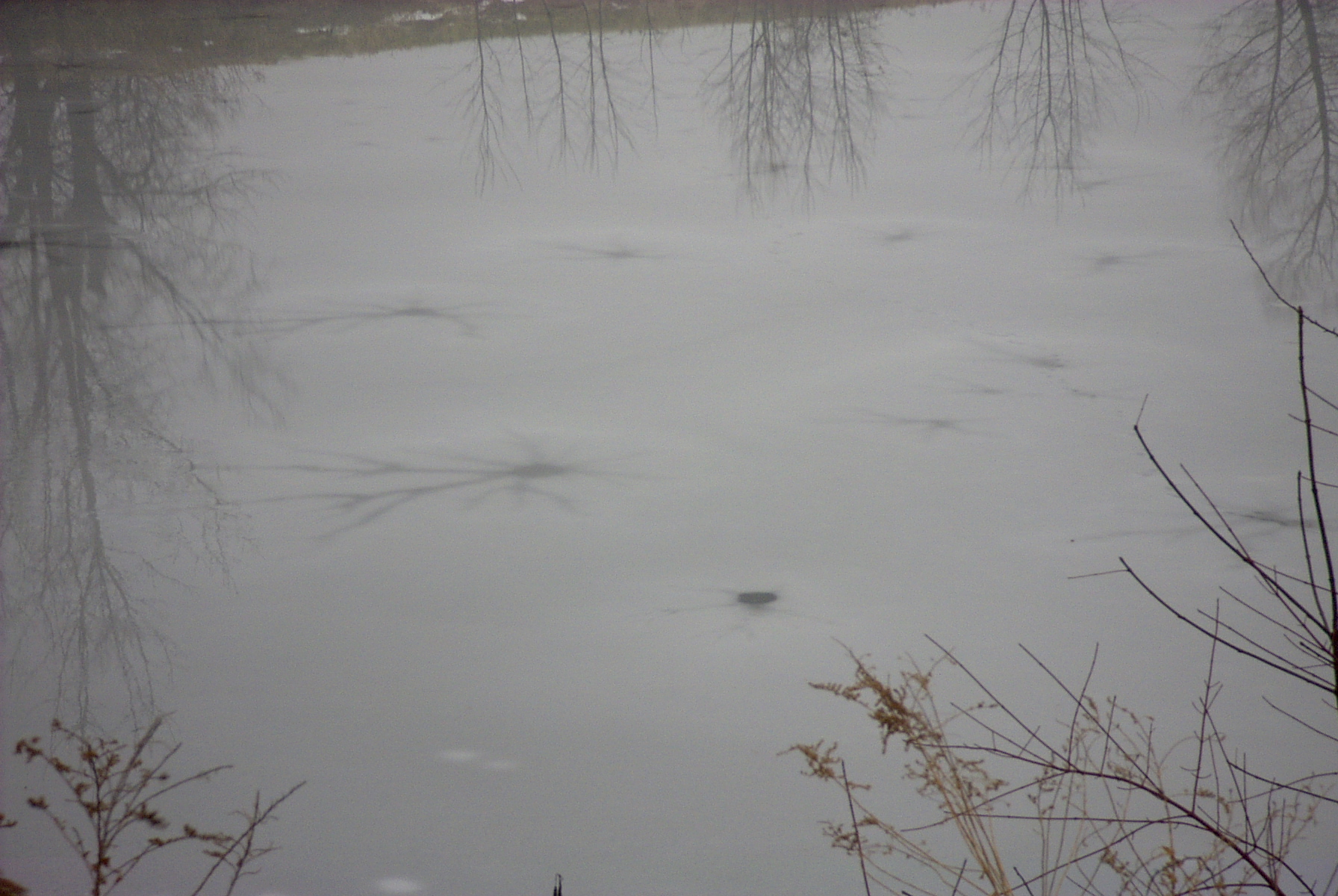 Pond ice holes.jpg