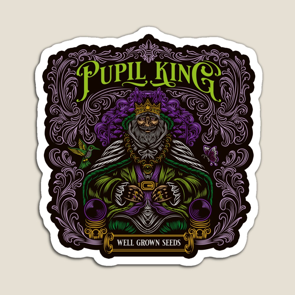 PUPIL KING (2).jpg