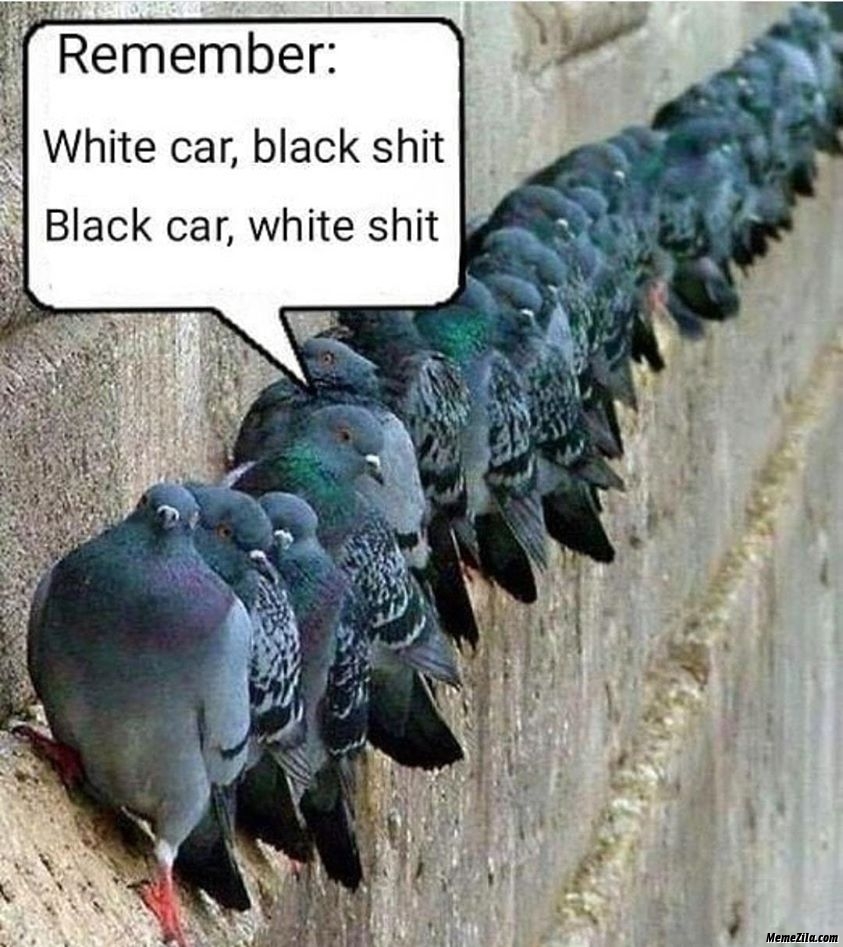 Remember-white-car-black-shit-black-car-white-shit-meme-1295.jpg