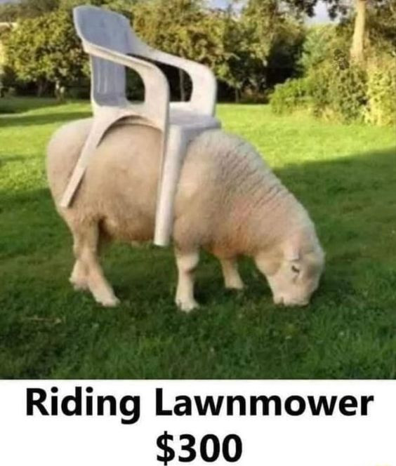 ride on lawn mower.jpg
