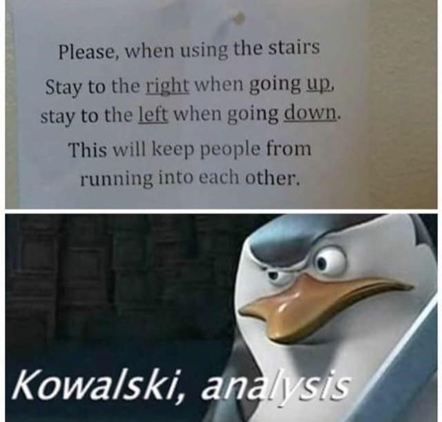 right-going-up-stay-left-going-down-this-will-keep-people-running-into-each-other-kowalski-an...jpeg