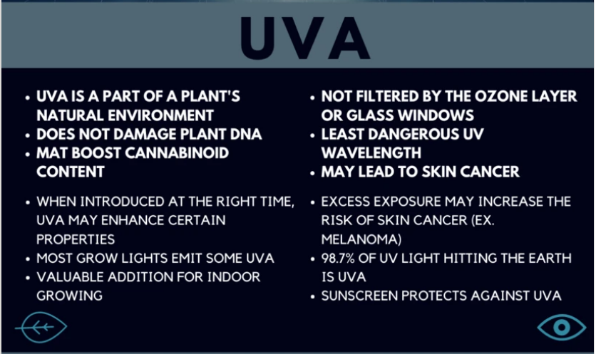 Click image for larger version  Name:	Screenshot 2021-11-13 at 09-50-44 The Truth About UV Light and Your Plants.png Views:	0 Size:	293.8 KB ID:	17988846