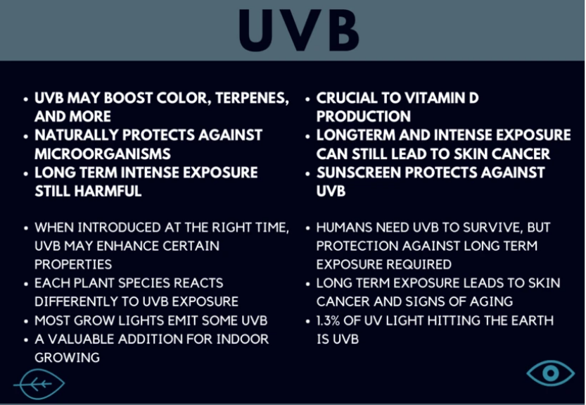 Click image for larger version  Name:	Screenshot 2021-11-13 at 09-51-43 The Truth About UV Light and Your Plants.png Views:	0 Size:	352.5 KB ID:	17988847