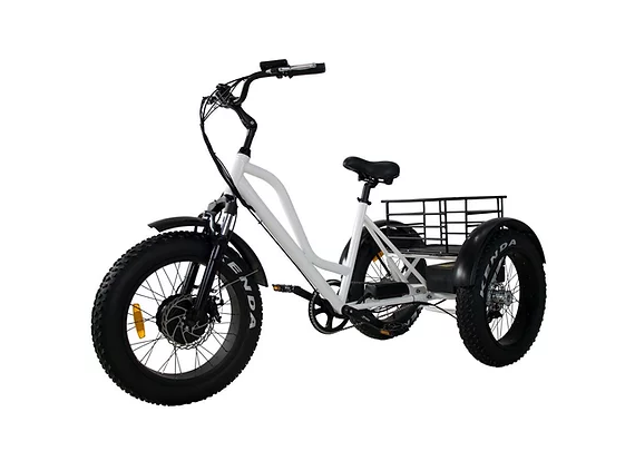 Screenshot 2022-06-05 at 08-50-18 Daymak Florence Fat Tire Electric Bicycle The eBike Centre.png