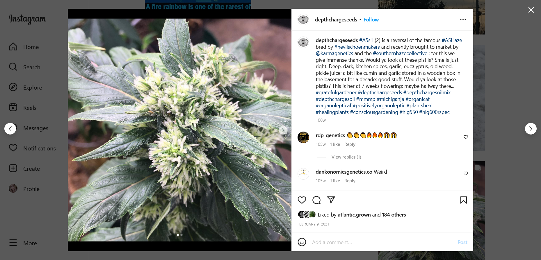Screenshot 2023-02-21 at 12-27-42 Depth Charge Seeds (@depthchargeseeds) • Instagram photos an...png