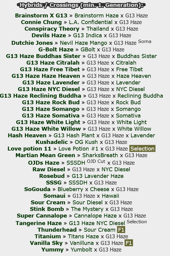 Screenshot 2024-03-17 at 12-25-44 G13 Haze (Soma Seeds) Lineage & Hybrids.png
