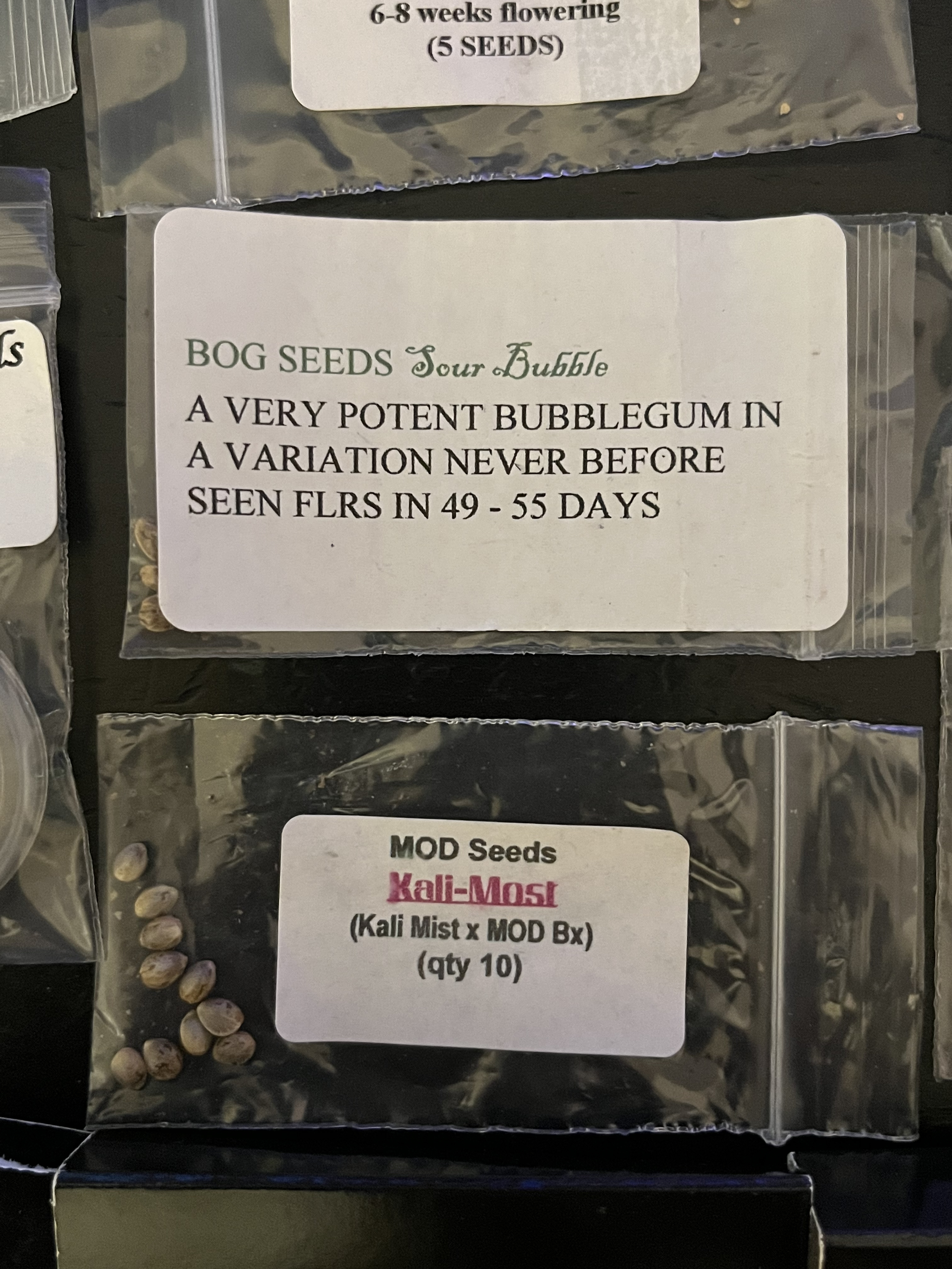 SEED COLLECTION - 2007-2012 - 5.jpg