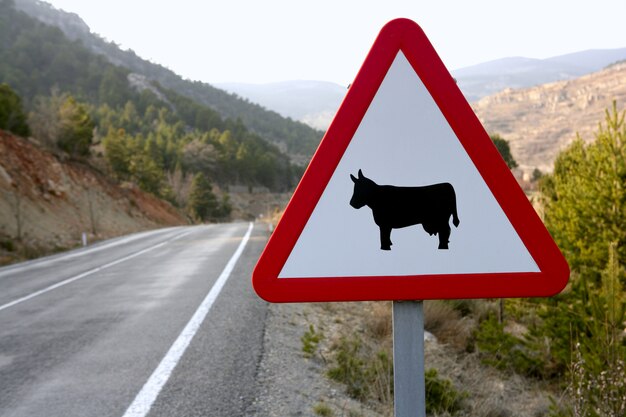 senal-trafico-europea-vacas-carretera_79295-18386.jpg