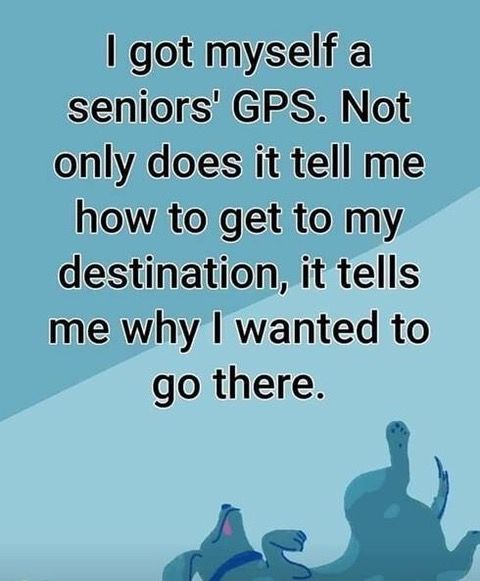 Seniors GPS.jpg