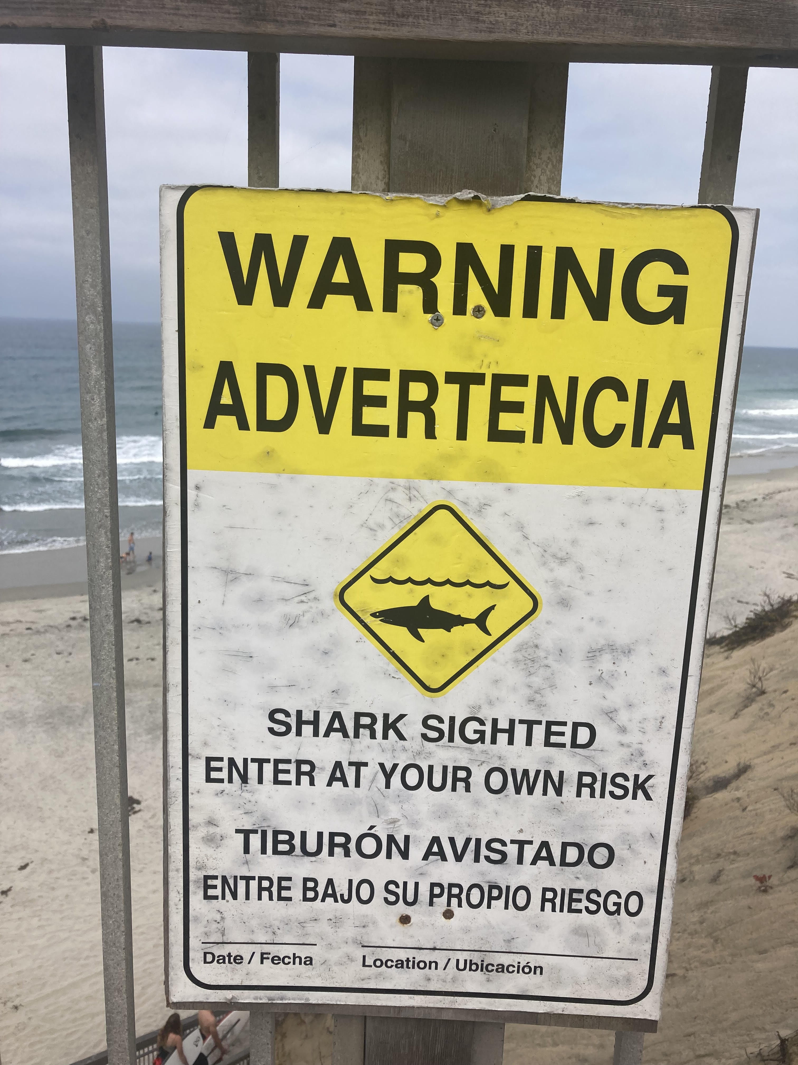 shark warning.jpg