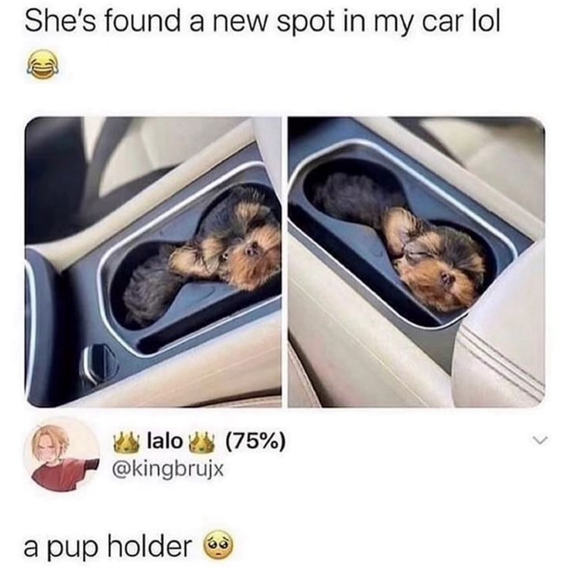 shes-found-new-spot-my-car-lol-lalo-75-kingbrujx-pup-holder.png